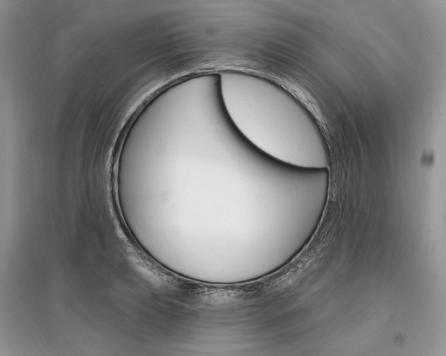 X0000096391039200801241112