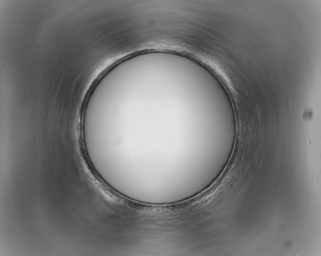 X0000096391040200801241112
