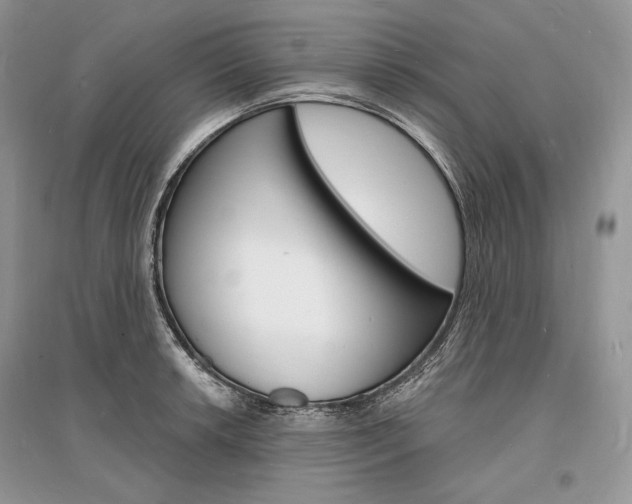 X0000096391042200801241112