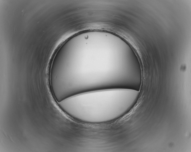 X0000096391045200801241112