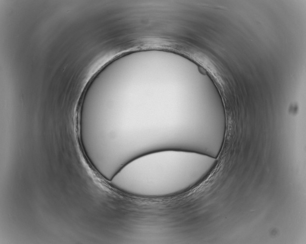 X0000096391047200801241112