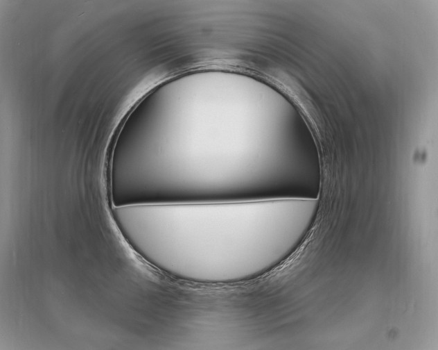 X0000096391050200801241112