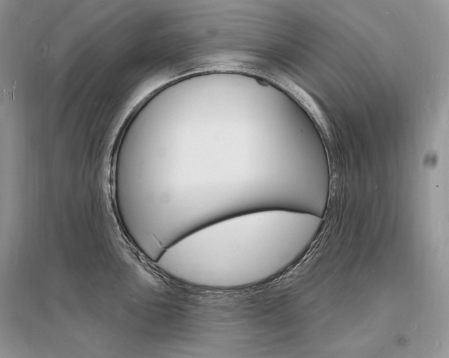 X0000096391051200801241112