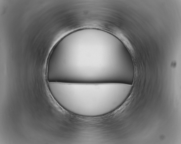 X0000096391052200801241112