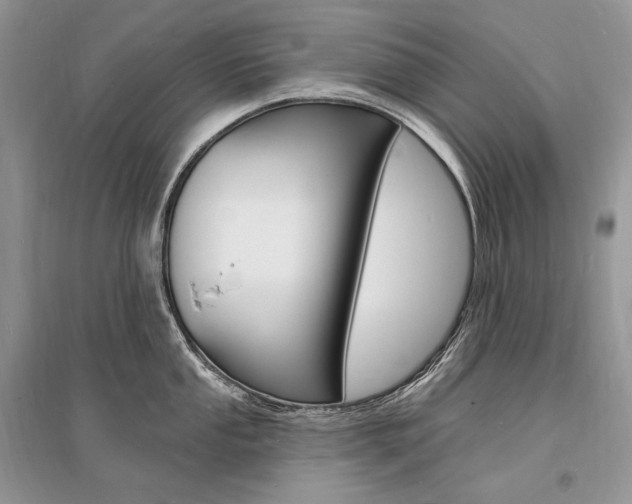 X0000096391053200801241112