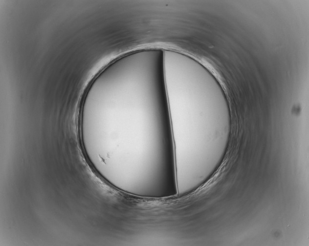 X0000096391054200801241112