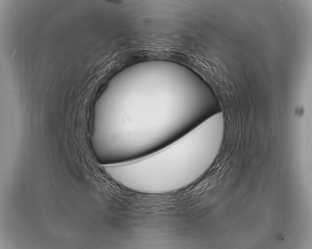 X0000096391057200801241111