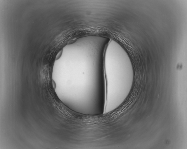 X0000096391058200801241111