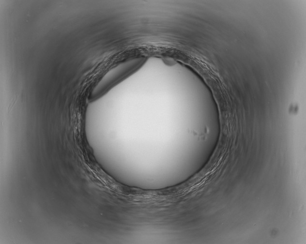 X0000096391061200801241111