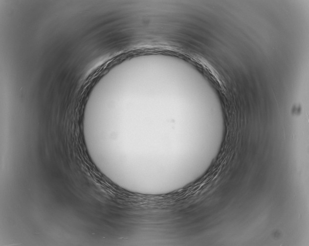 X0000096391064200801241111