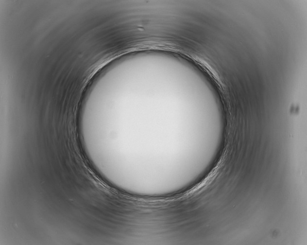 X0000096391065200801241111