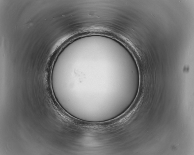 X0000096391066200801241111