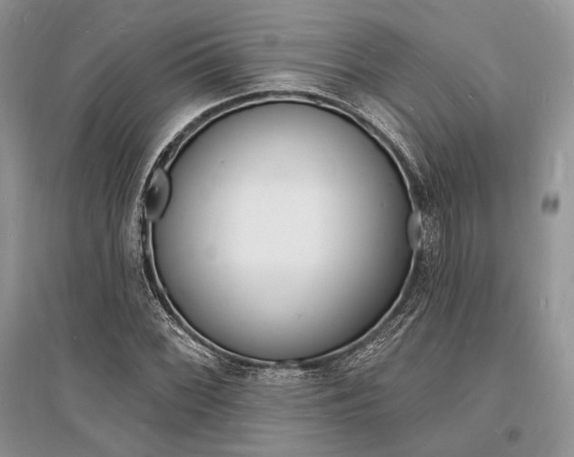 X0000096391068200801241111