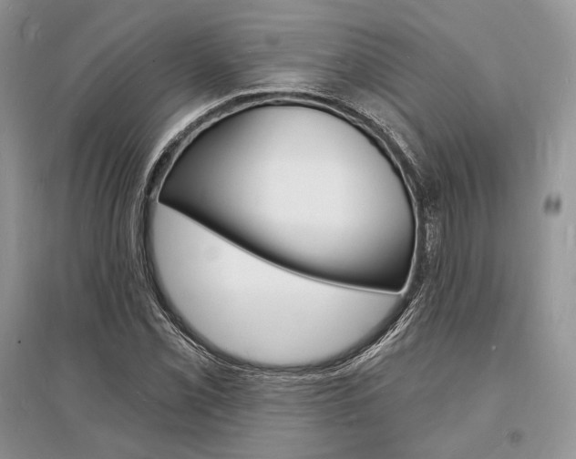 X0000096391069200801241111