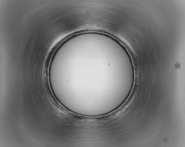 X0000096391070200801241111