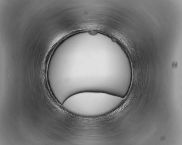 X0000096391071200801241111