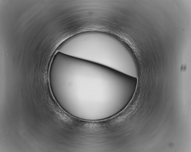 X0000096391073200801241111