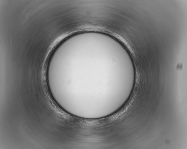X0000096391074200801241111