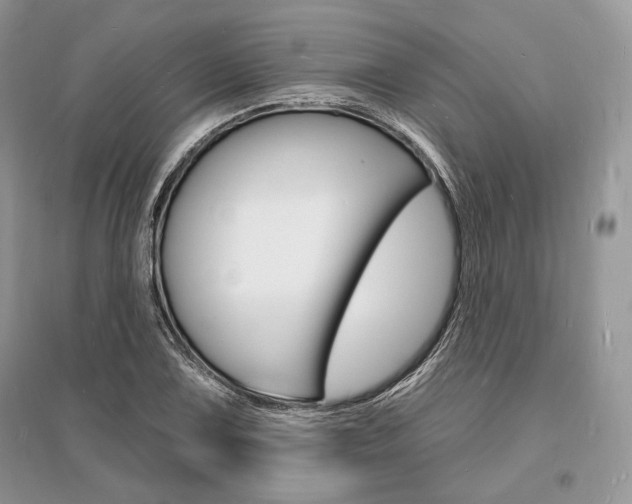 X0000096391075200801241111