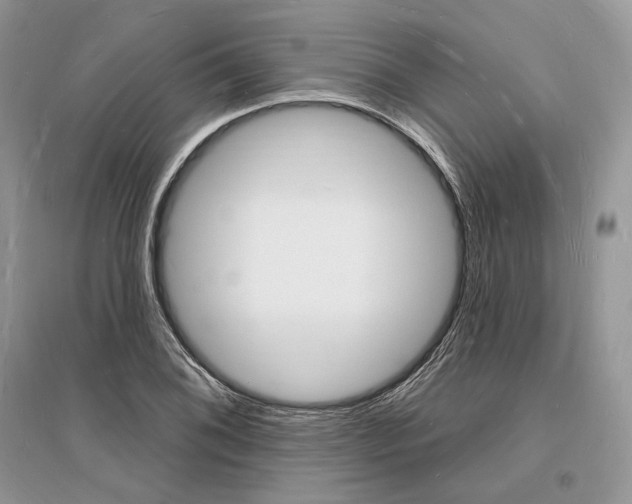 X0000096391076200801241111