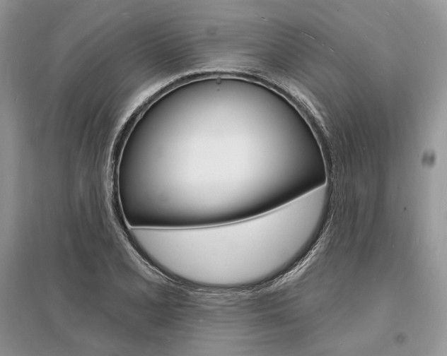X0000096391077200801241111