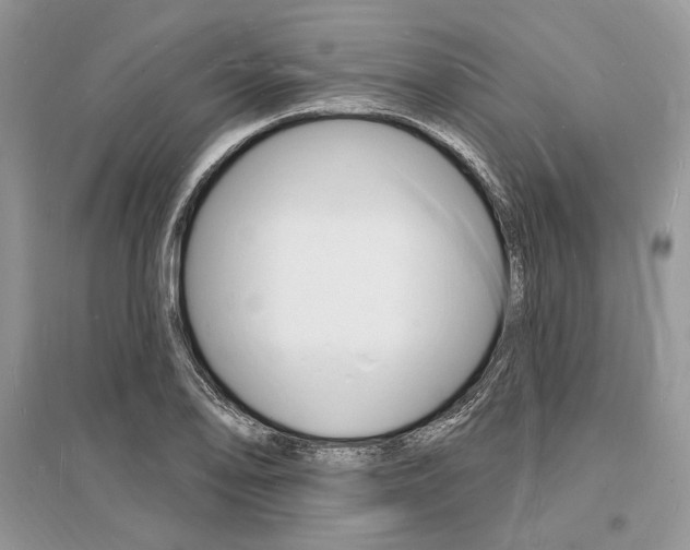 X0000096391078200801241111