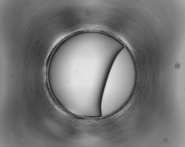 X0000096391079200801241111