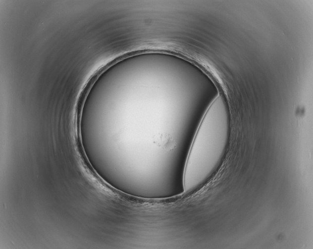 X0000096391080200801241111