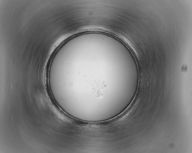 X0000096391082200801241111