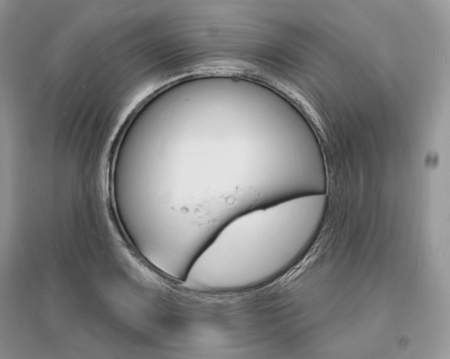 X0000096391083200801241111