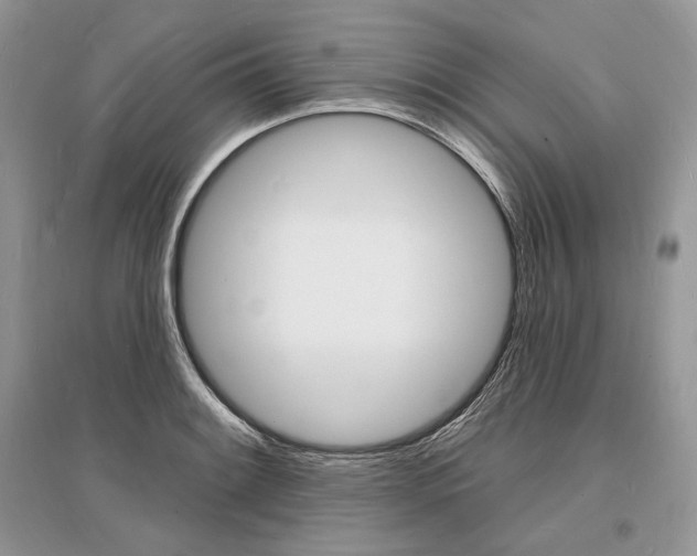 X0000096391084200801241111