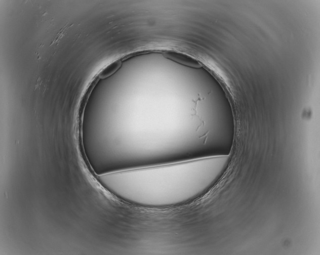 X0000096391088200801241111