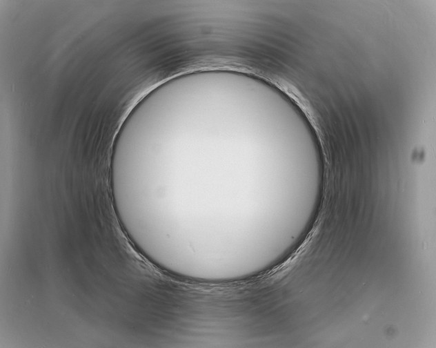 X0000096391089200801241111