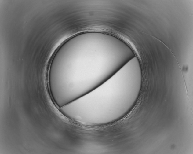 X0000096391091200801241111