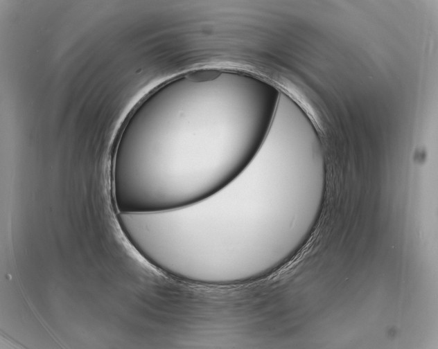 X0000096391092200801241111