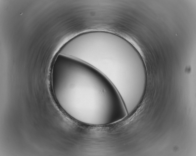 X0000096391093200801241111