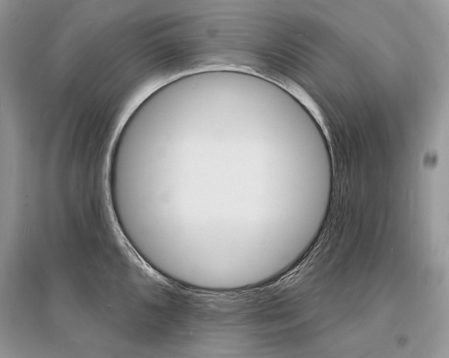 X0000096391096200801241111