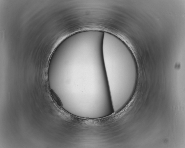 X0000096391097200801241111