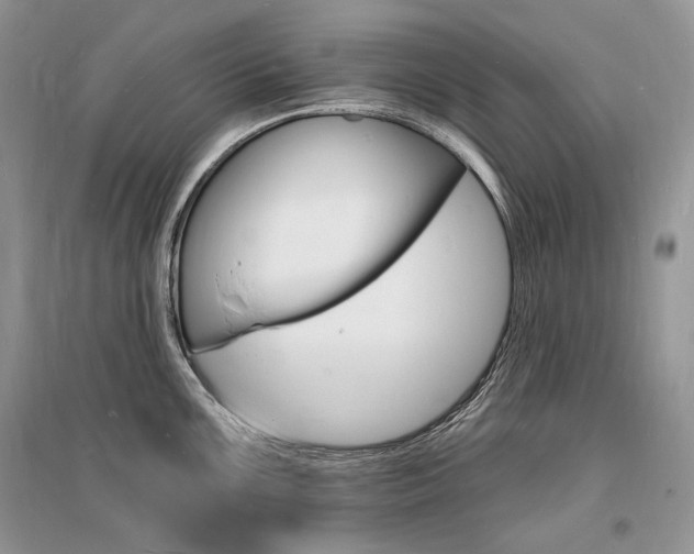X0000096391099200801241111