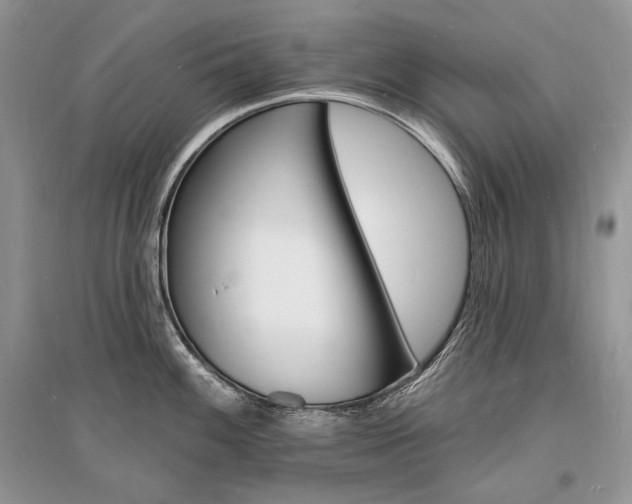 X0000096391100200801241111