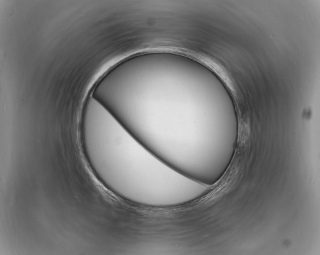 X0000096391101200801241111