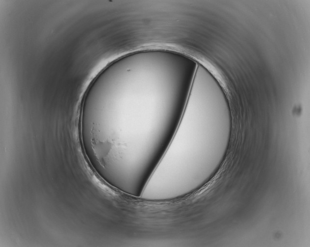 X0000096391102200801241111