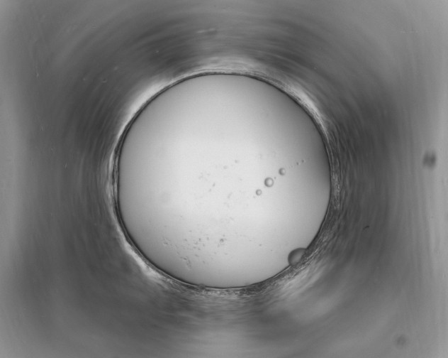 X0000096391103200801241111