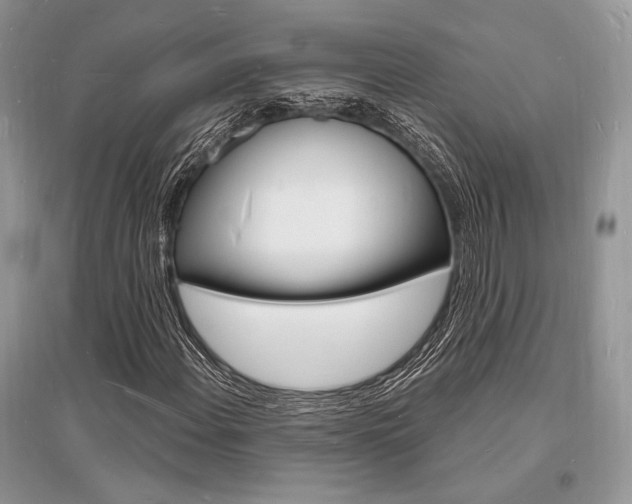 X0000096391108200801241110