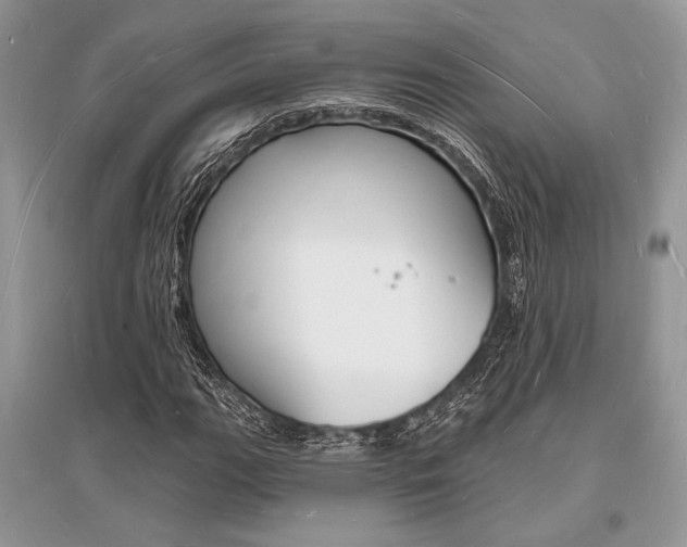 X0000096391111200801241110