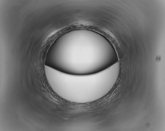 X0000096391112200801241110