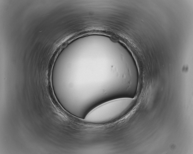 X0000096391113200801241110