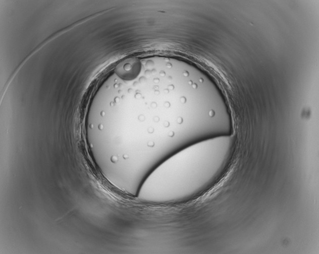 X0000096391117200801241110