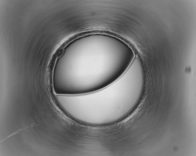 X0000096391118200801241110