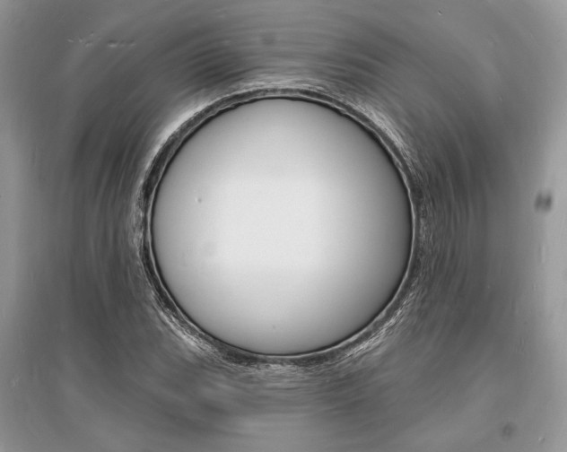 X0000096391119200801241110
